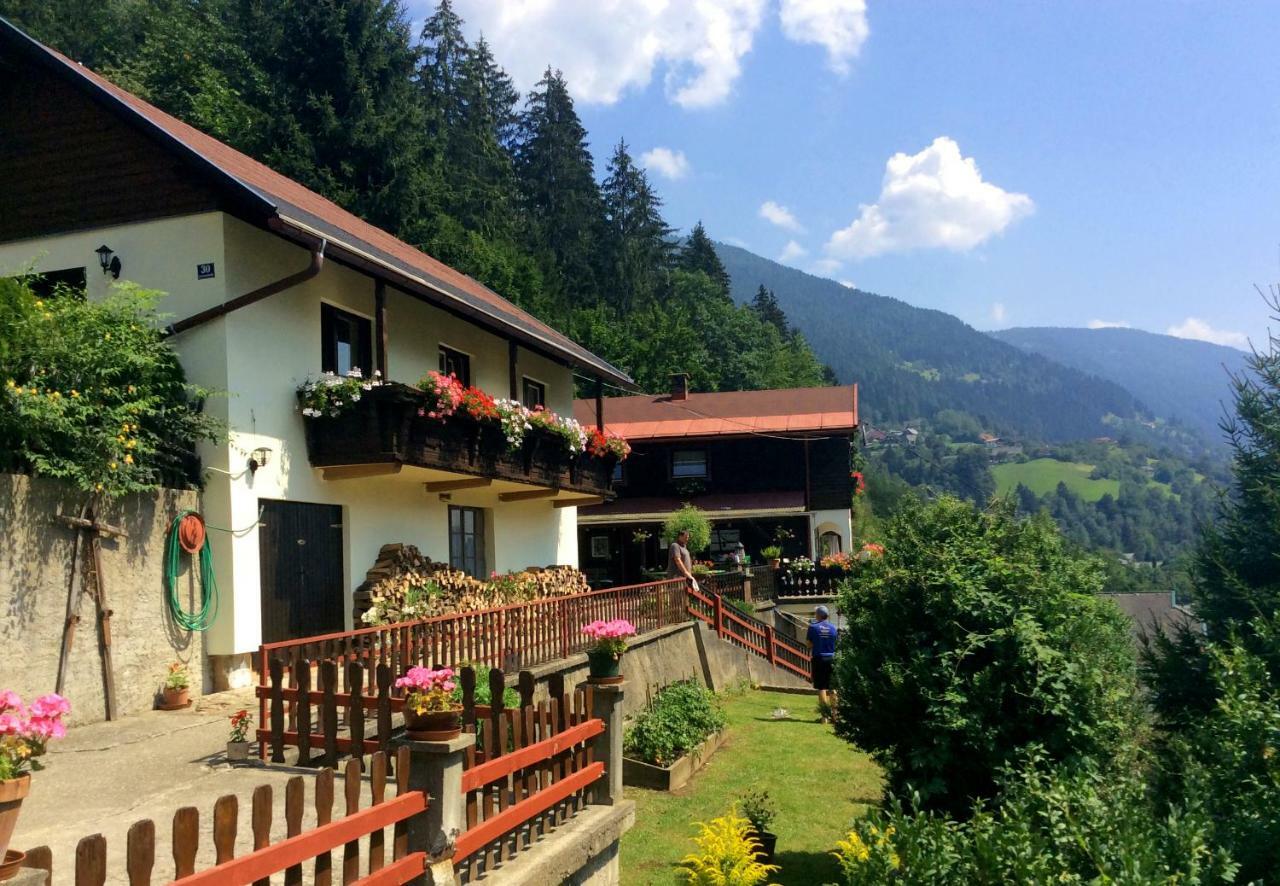 Panoramahaus Apartamento Radenthein Exterior foto